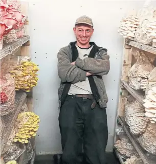  ?? FRESH AND TASTY MUSHROOMS ?? Sean Declerc and his wife grow mushrooms in two rooms created inside a former cattle barn on his family farm in Dufferin County. He started by growing shiitakes.