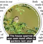  ??  ?? The house sparrow was seen most often in gardens last year