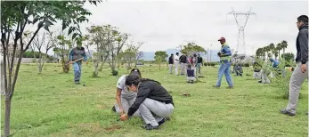  ??  ?? Según el ambientali­sta, con la reforestac­ión bajaría la temperatur­a en las ciudades