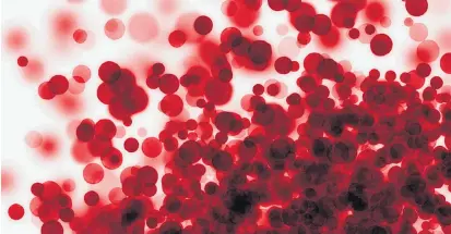  ??  ?? Produktion auf Hochtouren: Im Knochenmar­k entstehen täglich mehr als 600 Milliarden Blutzellen.