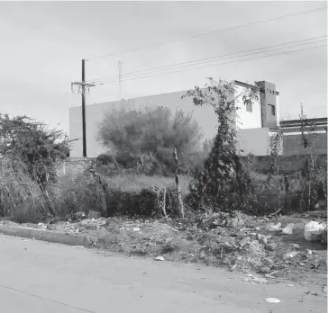  ?? VICENTE GUERRERO ?? &gt;Los solares baldíos abundan en la ciudad y son tomados como basureros públicos.