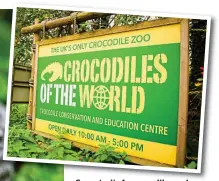  ??  ?? Snap to it it: A crocodile and and, above, the zoo in Brize Norton