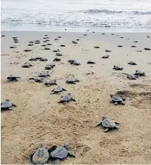  ??  ?? Las familias vieron su ingreso al mar.