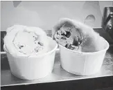  ??  ?? Cookie dough burritos are made of cookie dough wrapped in candy floss.