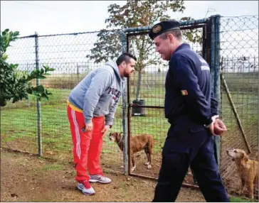  ?? PATRICIA DE MELO MOREIRA/AFP ?? A prison guard at the maximum security prison of Monsanto walks past a prisoner watching dogs at the prison’s dog kennel in Lisbon on October 24. The Monsanto prison, nestled in the city’s highest point and largest green patch, runs a kennel staffed by...
