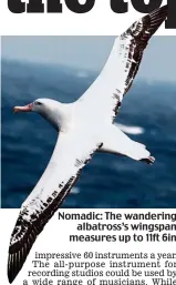  ??  ?? Nomadic: The wandering albatross’s wingspan measures up to 11ft 6in