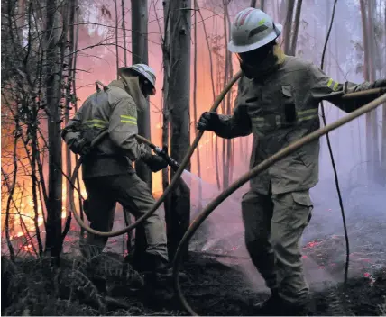  ?? Armando Franca ?? > Portuguese National Republican Guard firefighte­rs work to stop a forest fire from reaching the village of Avelar, central Portugal, yesterday morning