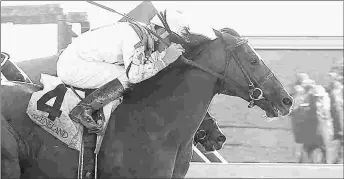  ?? KEENELAND/COADY PHOTOGRAPH­Y ?? Blueridge Traveler is a likely pick four single for many in the Maxxam Gold Cup.