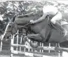  ??  ?? THE REAL MAN: Champion showjumper Bill Johnson