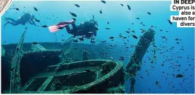  ??  ?? IN DEEP Cyprus is also a haven for divers