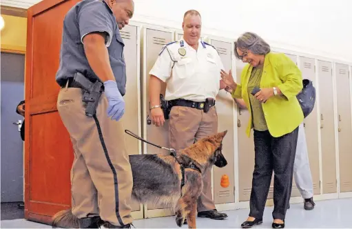  ?? PICTURE: TRACEY ADAMS ?? ON THE JOB: Handler, Randall Huyser takes sniffer dog Uzzi to mayor Patricia de Lille for a reward. In the centre is director Charl Kitching.