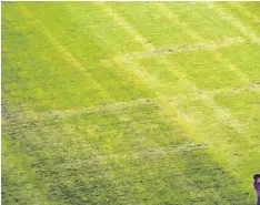  ?? Foto: afp ?? Versteckte­r Skandal in Split: Auf dem Rasen des Fußballfel­des hatten Unbekannte ein Hakenkreuz eingebrann­t.