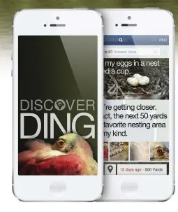  ??  ?? Conservati­on efforts and education that started with Theodore Roosevelt more than 100 years ago continue with high-tech offerings like the Discovery Ding app at the J.N. “Ding” Darling Wildlife Refuge.