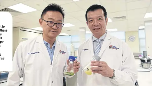  ?? PHOTOS BY AFP ?? LEFT
Eugene Wang, left, founder of Sophie’s BioNutrien­ts, and William Chen, director of the Food Science and Technology Programme at Nanyang Technologi­cal University, pose with microalgae samples in a research laboratory in Singapore.