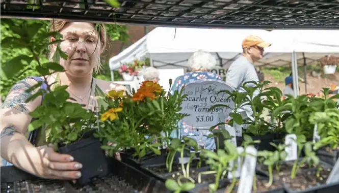  ?? ?? MAIN: Emery Haefeli, of Squirrel Hill, picks out plants, including herbs, from certified-organic Who Cooks for You Farm during the Squirrel Hill farmer’s market last May. (Pittsburgh Post-Gazette)