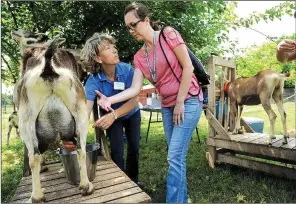 ?? NWA Democrat-Gazette/ANDY SHUPE ?? Linda Coffey, a program specialist with the National Center for Appropriat­e Technology and coowner of a sheep and goat farm near Prairie Grove, shows Regina Merritt of Graceville, Fla., the proper way to milk a goat.