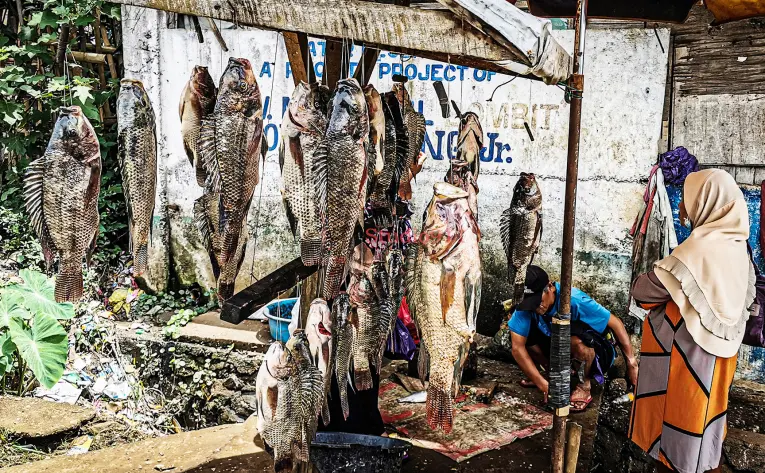  ??  ?? TILAPIA for sale in Marawi City. MindaNews photo taken on May 20 by FERDINANDH B. CABRERA