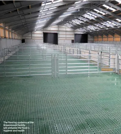  ??  ?? The flooring systems at the Greenmount facility will enhance the flock’s hygiene and health
