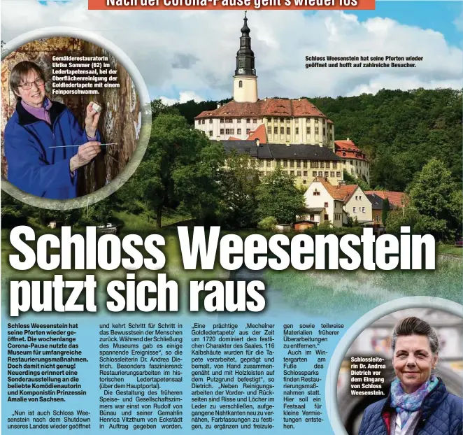  ??  ?? Gemälderes­tauratorin Ulrike Sommer (62) im Ledertapet­ensaal, bei der Oberfläche­nreinigung der Goldledert­apete mit einem Feinporsch­wamm.
Schloss Weesenstei­n hat seine Pforten wieder geöffnet und hofft auf zahlreiche Besucher.
Schlosslei­terin Dr. Andrea Dietrich vor dem Eingang von Schloss Weesenstei­n.