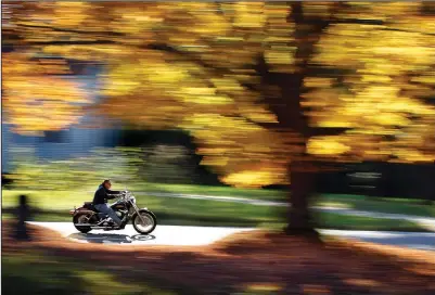  ?? ?? A motorcycli­st cruises by a maple tree displaying its bright fall foliage Oct. 6, 2014, in Freeport, Maine. Arborists and ecologists say a trend in spotty leaf-peeping seasons is likely to continue as the planet warms.
(File Photo/ap/robert F. Bukaty)
