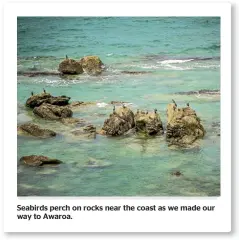  ??  ?? Seabirds perch on rocks near the coast as we made our way to Awaroa.