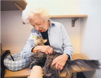  ?? ADOLPHE PIERRE-LOUIS/JOURNAL ?? Florence Sander, whose duties at Animal Welfare Department’s east side shelter include helping cats feel confident and social, was surprised with a 90th birthday party Monday.