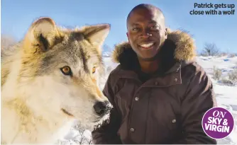  ??  ?? Patrick gets up close with a wolf