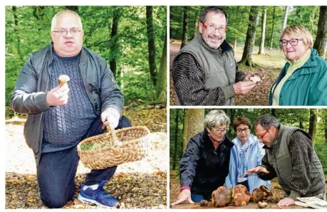  ??  ?? 1. J’avais emprunté le panier de mes guides pour la cueillette. 1. Jean-Pierre Louvet et son épouse Mady. 3. Des touristes ravies de pouvoir bénéficier des conseils de Jean-Pierre Louvet.