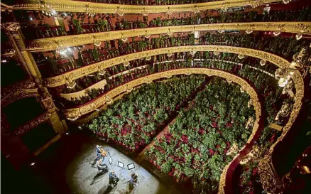  ?? MANÉ ESPINOSA ?? El juny de l’any passat l’artista Eugenio Ampudia va col·locar 2.202 plantes a les butaques del Liceu