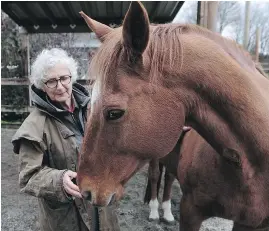  ?? — NICK PROCAYLO/POSTMEDIA NEWS FILES ?? Evelyn McKelvie, who uses horses for executive coaching, works with Rocky.