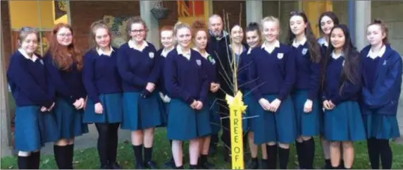  ??  ?? DCW students with the ‘Tree of Hope’ which was planted this week in the courtyard.