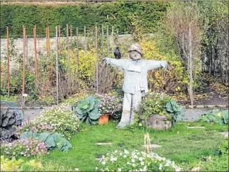  ??  ?? Reader Tom Noon of Bishopbrig­gs sent in today’s picture, of a scarecrow in the walled garden at Pollok House, complete with a fake crow on his shoulder E-mail your images to yourpics@ eveningtim­es.co.uk if you have a picture you would like to share...
