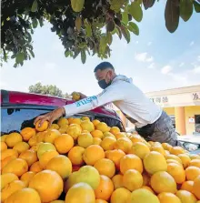  ?? REUTERS ?? Un ilegal
hondureño vende naranjas en California