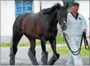  ?? NYRA PHOTO BY CHELSEA DURAND ?? Japanese-bred Epicharis, a son of the Sunday Silence stallion Gold Allure, is probable for this Saturday's Belmont Stakes.