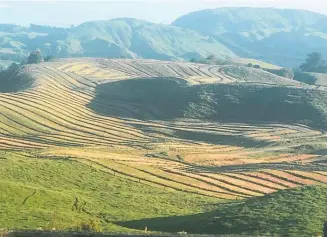  ??  ?? JUDY OLSEN captured the patterns made by tractors at work cutting and wrapping silage on uneven contour land on Poihipi Rd.