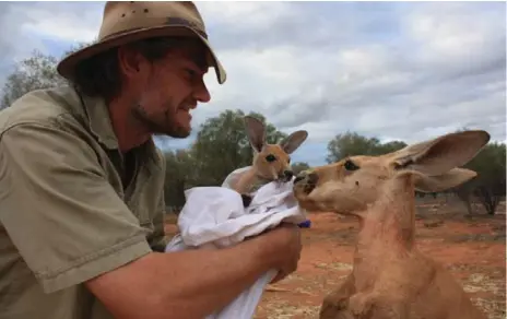  ??  ?? Chris Barnes, who has opened a kangaroo sanctuary in Australia and starred in a documentar­y, is now planning to build a wildlife hospital.