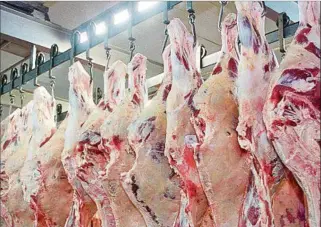  ??  ?? FRIGORÍFIC­O. Hubo una faena importante de vacas y es reflejo de la demanda de carne desde China.