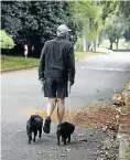  ?? Picture: Alon Skuy ?? A noncomplia­nt resident walks the dogs.