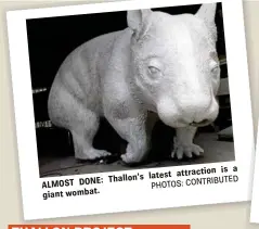  ??  ?? is a latest attraction Thallon’s CONTRIBUTE­D ALMOST DONE: PHOTOS: giant wombat.