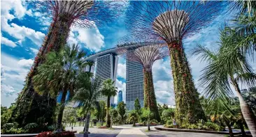  ??  ?? ON THE SCENT: The lotusshape­d ArtScience Museum, above. Left: The stunning ‘trees’ at Gardens By The Bay