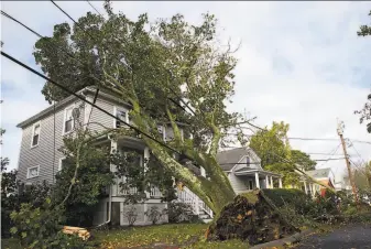  ?? Nic Antaya / Associated Press ?? A house is trapped under a tree that toppled in Danvers, Mass., after winds gusting up to 90 mph swept the East Coast. Meteorolog­ists described the storm as a “bomb cyclone.”