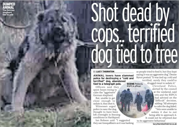  ??  ?? DUMPED ANIMAL The German shepherd tied to pole SCENE Police & RSPCA officer