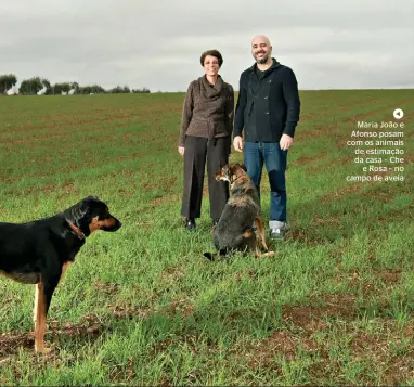  ??  ?? Maria João e Afonso posam com os animais de estimação da casa – Che e Rosa – no campo de aveia