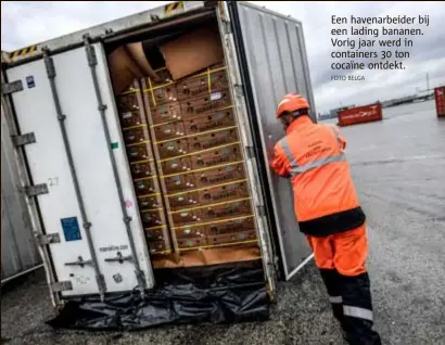  ?? FOTO BELGA ?? Een havenarbei­der bij een lading bananen. Vorig jaar werd in containers 30 ton cocaïne ontdekt.