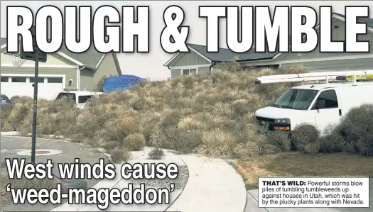 ?? ?? THAT’S WILD: Powerful storms blow piles of tumbling tumbleweed­s up against houses in Utah, which was hit by the plucky plants along with Nevada.
