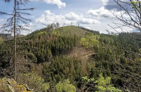  ?? DIRK BERNKOPF ?? Die Folgen des Klimawande­ls sind auch im Landkreis Gotha, hier bei Bad Tabarz auf der Gipfel- und Aussichtst­our, sichtbar. Der Blick vom Gickelhahn­sprung fällt auf abgestorbe­ne Wälder und Kahlschläg­e, durch Trockenhei­t und Borkenkäfe­rbefall.