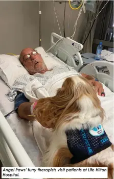  ?? ?? Angel Paws’ furry therapists visit patients at Life Hilton Hospital.