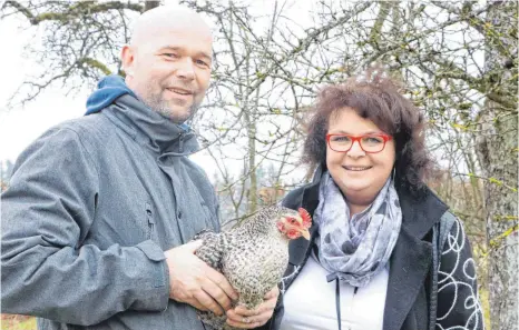  ?? FOTO: KRATKY ?? Frank Hahn ist leidenscha­ftlicher Hobbyhühne­rzüchter. Sigrid Wagner aus Ellenberg hat sich bei ihm vier Hühner für eine Woche gemietet.