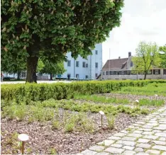  ?? Foto: Luzia Grasser ?? Frisches Grün vor dem Neuen Schloss: Jeder, der frische Kräuter braucht, kann sich im Innenhof bedienen.