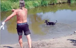  ?? NEWS PHOTO JEREMY APPEL ?? Shawn Nelson throws a stick in the creek at Kin Coulee for his dog Nina to fetch.